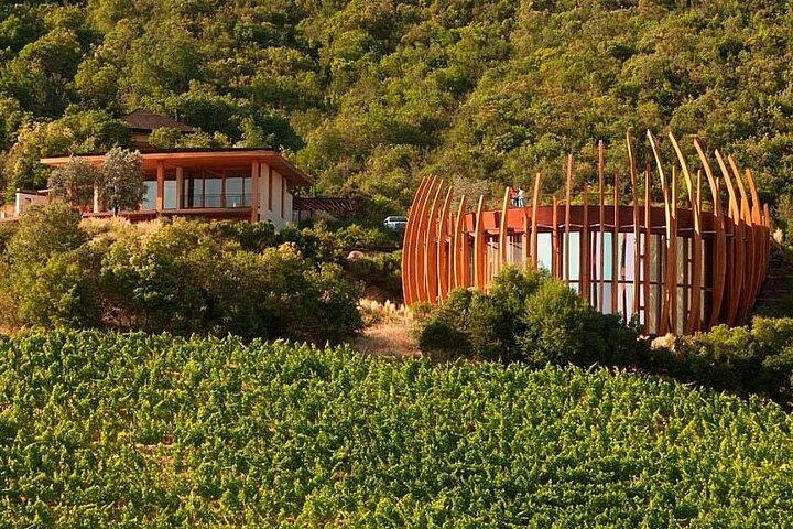 Colchagua Valley Experience 