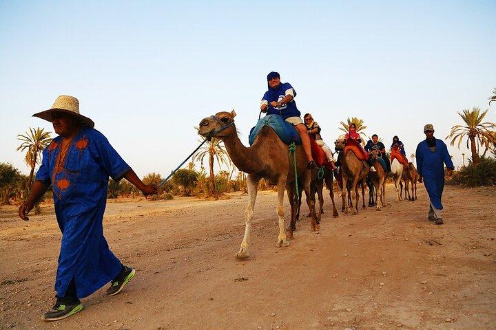 Camel ride + sunset + BBQ dinner in Agadir