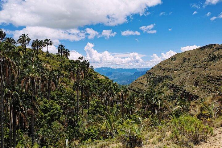 Hiking Tour in El Palmar from Sucre Bolivia