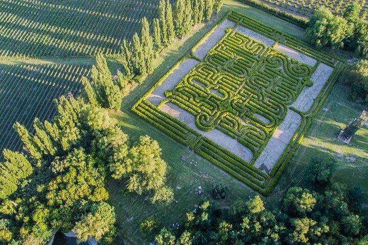 Wine and literature tour in Mendoza: trip to the Borges Labyrinth