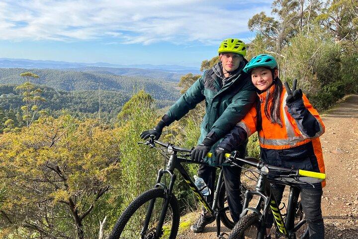Easy Bike Tour - Mt Wellington Summit Descent & Rainforest Ride