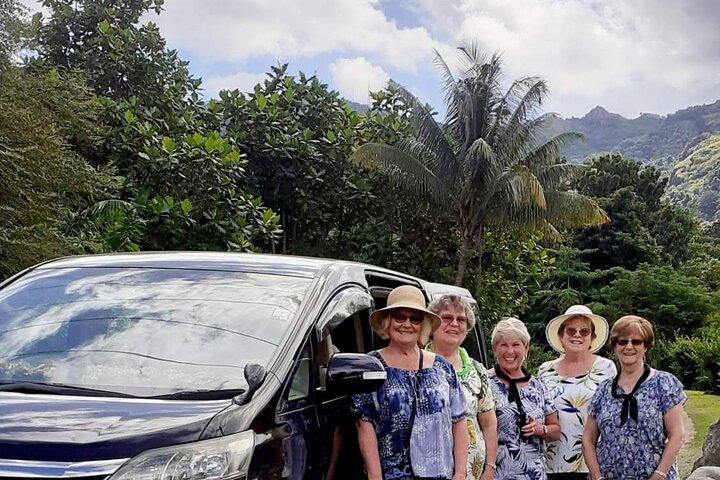 Fiji Marriot Resort, Momi Bay to Nadi Airport - Private Vehicle