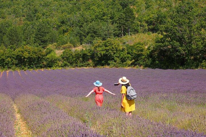 Lavender Full-day Tour in Sault From AIX-EN-PROVENCE