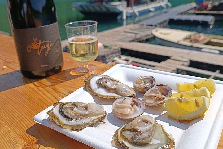Wine and Oysters Private Guided Experience in Lim Bay