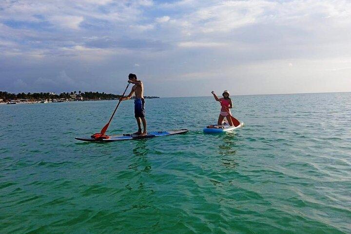 Paddle Board Classes in Holbox with Pick up