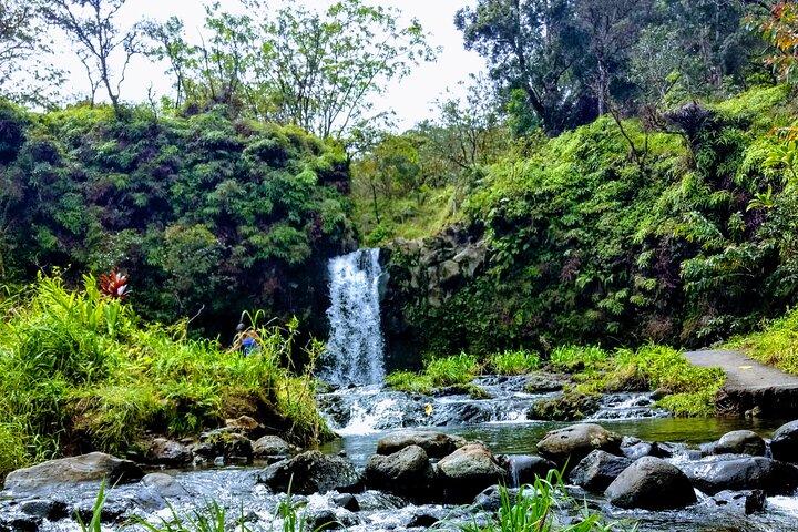 Halfway to Hana Tour of Maui Black Sand Beach Waterfalls Turtles