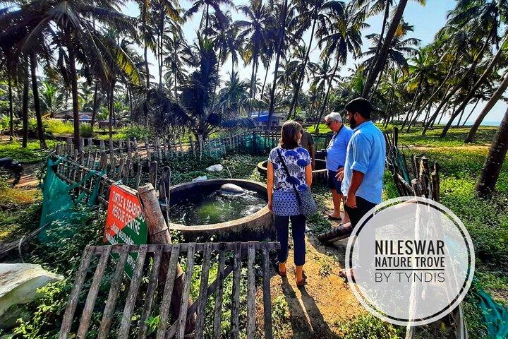 Nileshwar's Nature Trove - A Tyndis Village Experience