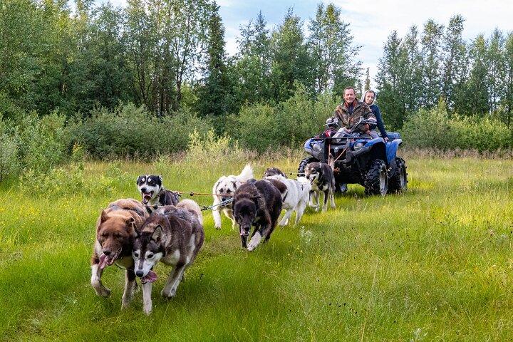 Private Kennel Visit and ATV Tour with the Huskies