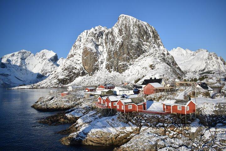 Lofoten PRIVATE Tour from Leknes - Small group (1-4 pax)