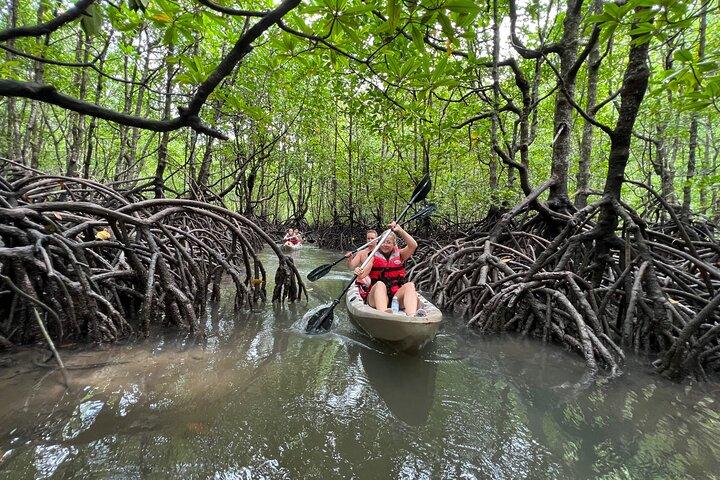 Half-Day Mangrove Kayaking in Langkawi 