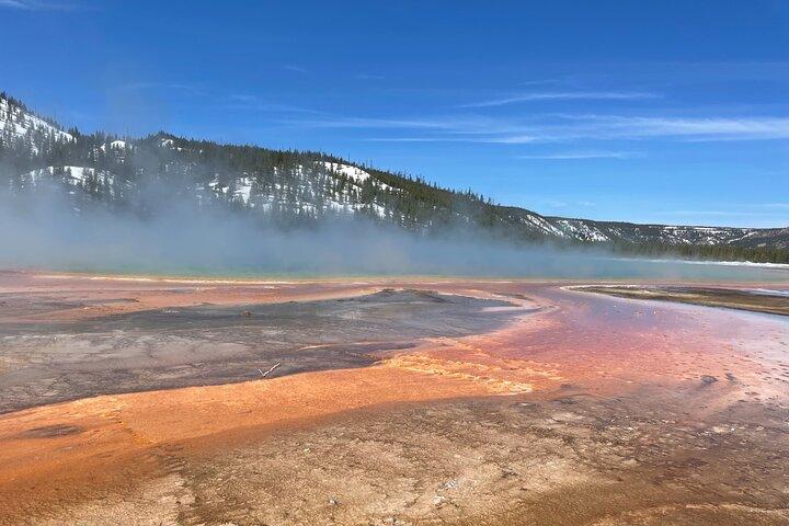 Private Customizable Full-Day Yellowstone Tour