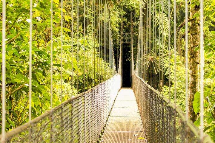 Private Tour Mistico Arenal Hanging Bridges From Guanacaste