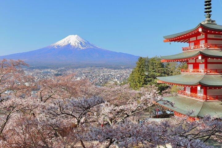 Full Day Tour to Mount Fuji in Spanish