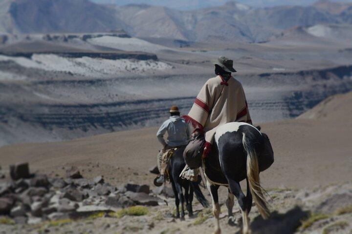 Crossing the Andes on Horseback in a 5-Day Tour