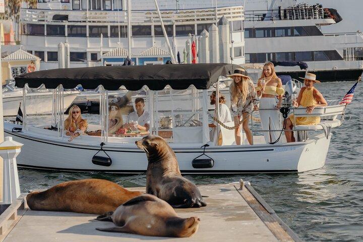 Luxury Shared E-Boat Cruise with Wine, Charcuterie & Sea Lions Spotting