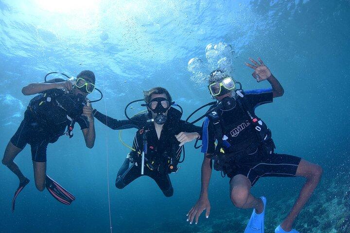 Discover Scuba Diving Experience