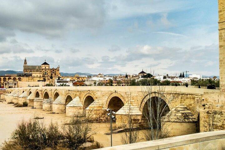 Private tour to Córdoba from Seville (several options)