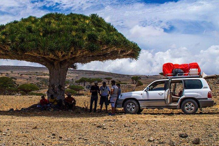 Explore Socotra Island |8 Days | Group Tour(Oct 2023 – May 2024)