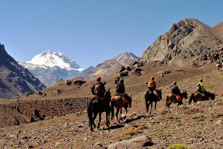 Andes Day Horseback Riding Tour and BBQ