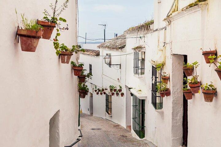 Private 8-Hour Tour of Cadiz and White Villages from Cadiz