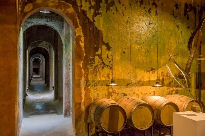Wine Tour Privado - Colonia Caroya