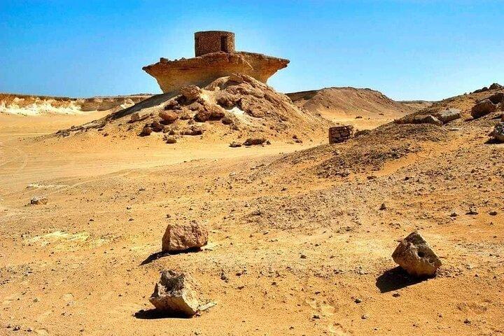 Qatar's North And West Private Tour | Purple Island | Mangros | Zubara Fort etc