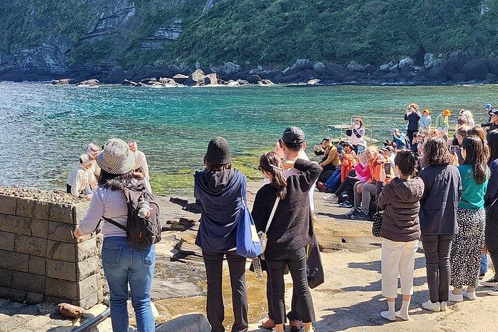 World Natural Heritage East Tour in jeju