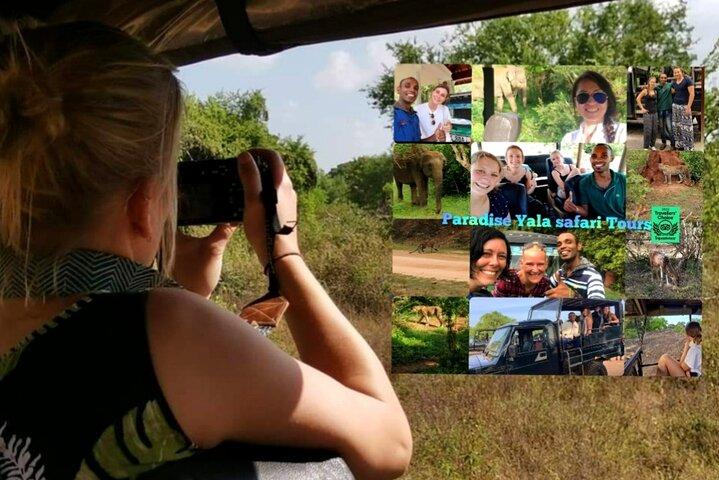 Paradise Yala Safari Tours