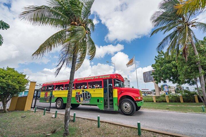 Curacao City Highlights 4-Hour Tour