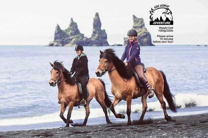 Black Sand Beach Horse Riding Tour from Vik