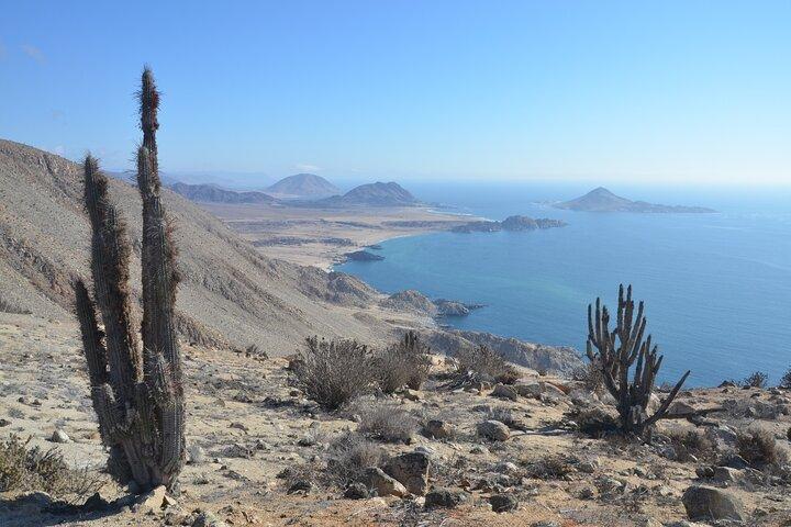 Coast and Atacama Desert English Bay and Sugar Loaf from La Serena