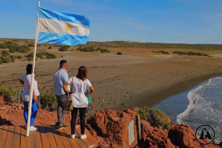 Punta Tombo with Puerto Madryn Shore Excursions Tours