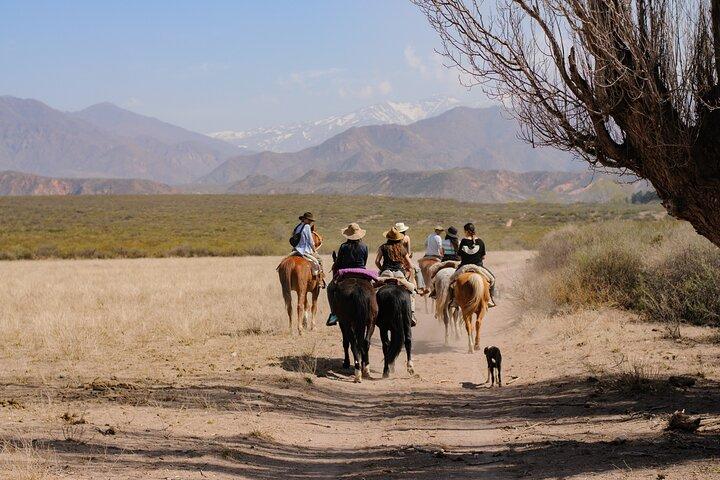 Horseback Riding to the Heart of the Andes