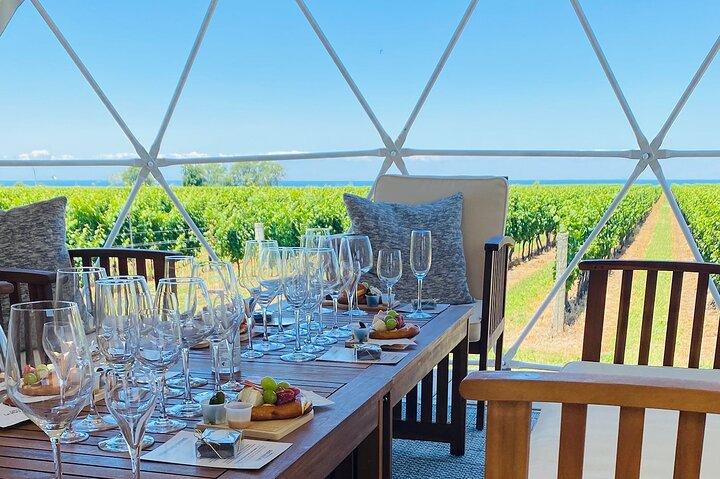 1 Hour Private Vineyard Dome Experience in Niagara-on-the-Lake