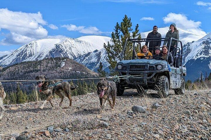 Summer Sled Dog Remote Yukon Camp & Summit Tour
