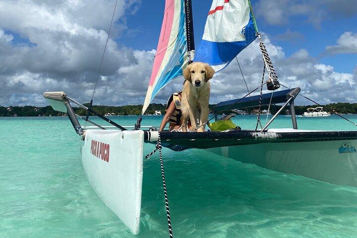 Sail away! Hobie Cat Tour in the lagoon