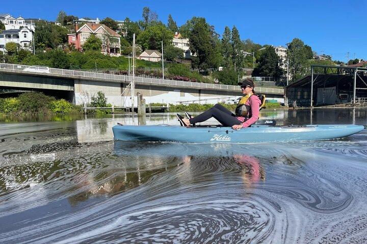 Guided Kayak Tour on Launceston's scenic waterfront on foot powered Hobie kayaks