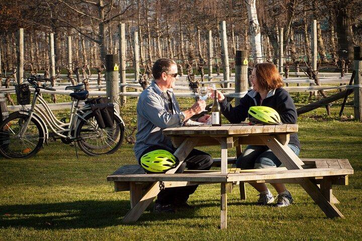 Self-Guided Wine Tours by Bike with Steve & Jo in Marlborough 
