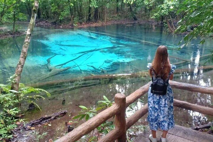 Discover Krabi - Emerald Pool, Hot Springs & Tiger Cave Temple
