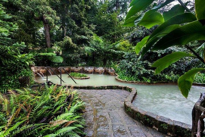 Private Guided Tour and Thermal Baths in São Miguel
