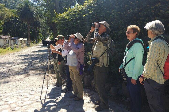 5-Hour Private Birdwatching Experience in San Juan La Laguna