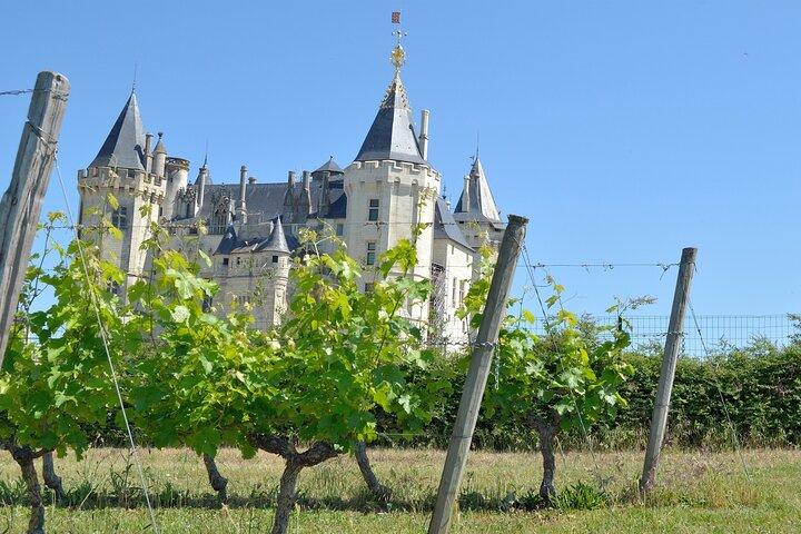 Loire Valley Wine Tour in Chinon & Bourgueil