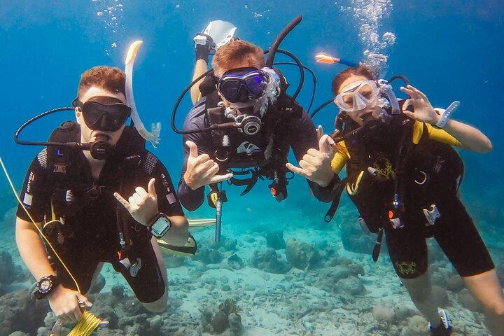 Private Discover Scuba Dive Experience in Curaçao