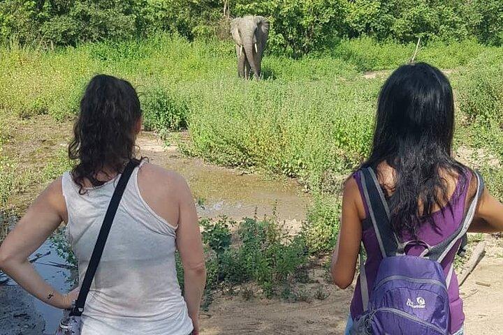 3 Days Elephants Safari at Mole Park with Round - trip flights