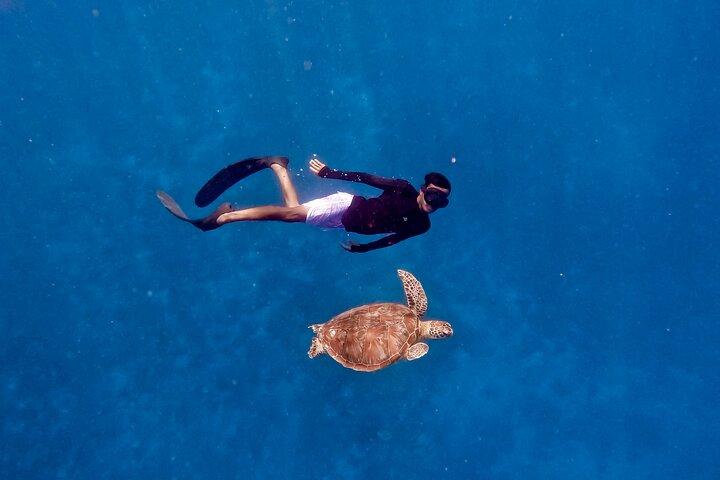 Snorkeling with turtle and statue in Gilis