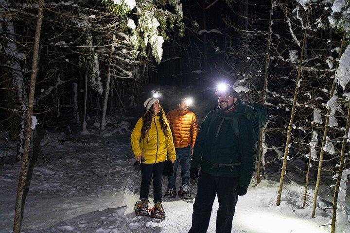 Gatineau Park Nocturnal Snowshoeing Adventure & Dinner - From Ottawa & Gatineau
