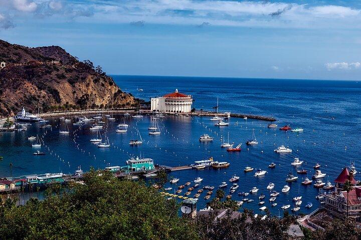 Catalina Island All Inclusive Sightseeing Tour From Orange County