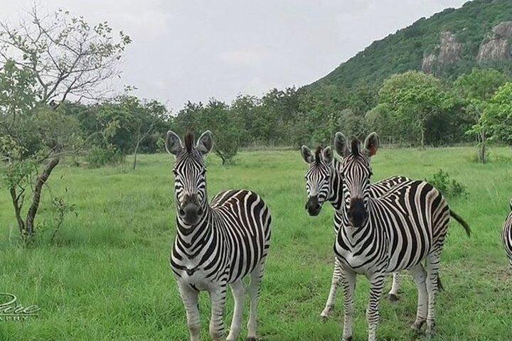 Shai Hills Half Day Accra Safari, Hike & see Animals 