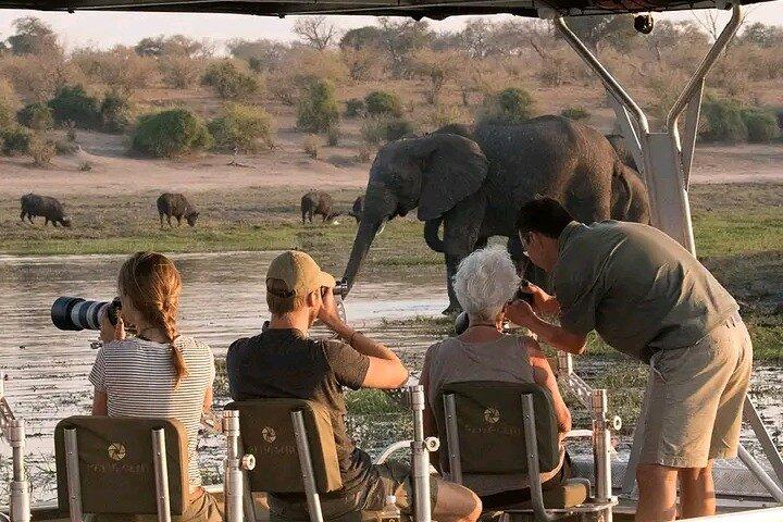 Full-Day Chobe Trip Botswana