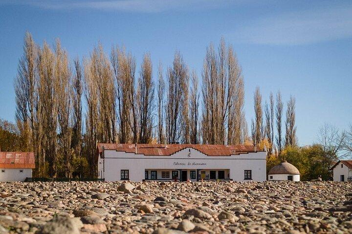 Patagonia National Park Full Day Private Tour